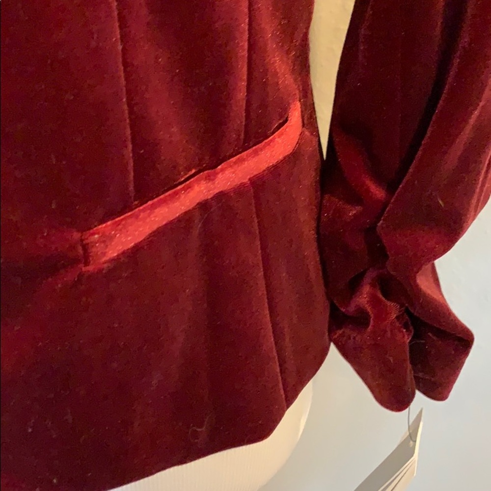 Wine velvet stretch blazer - Picture 4 of 7